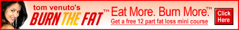 468 X 60 blue red the fat banner