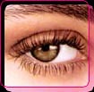 eye 